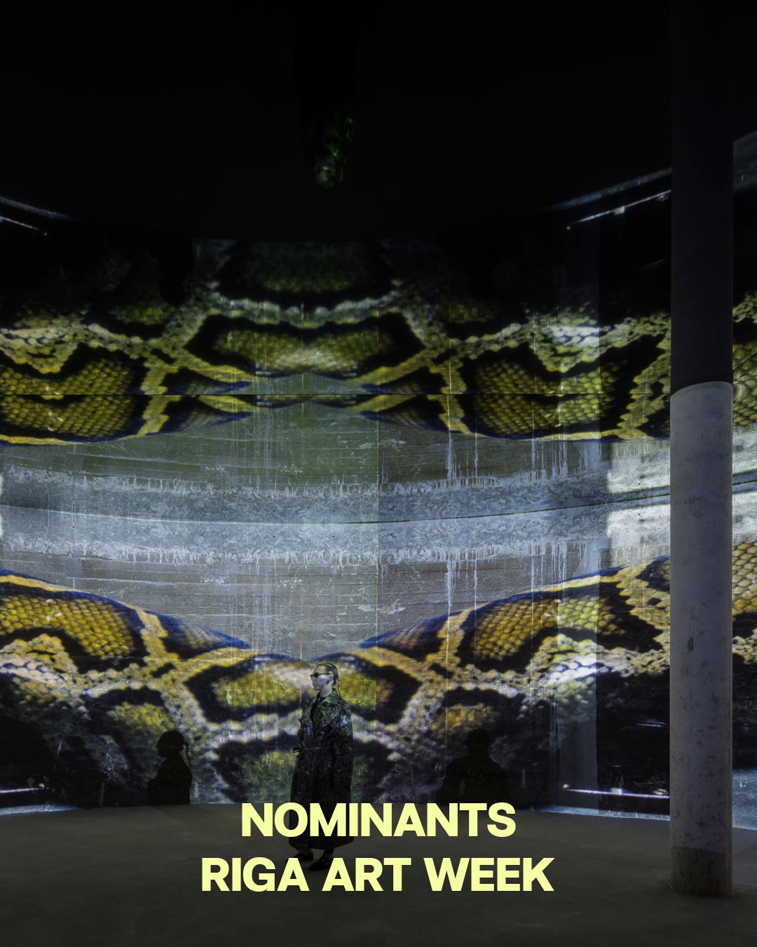 LMGB_nominanti_instgr post_notikums14